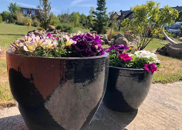 Apartman Mielenko Wichrowe Wzgorze