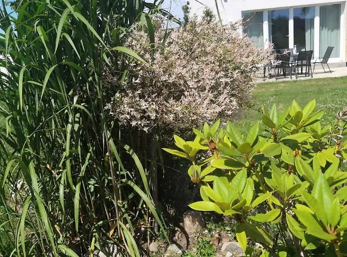 Apartman Mielenko Wichrowe Wzgorze